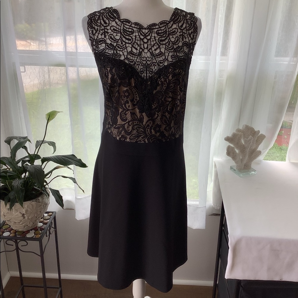 Trixxi plus size dress